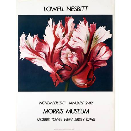 Fleur (Lowell Nesbitt)