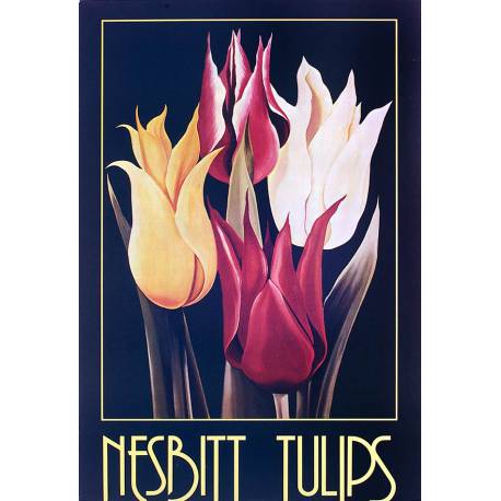 Tulipes