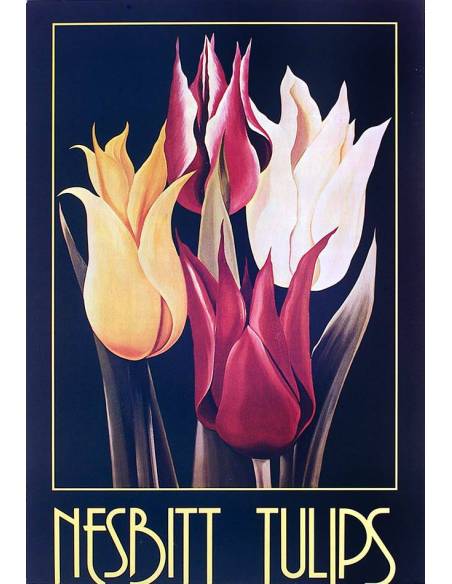 Tulips