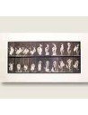 Muybridge Eadweard
