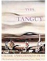 Tanguy Yves